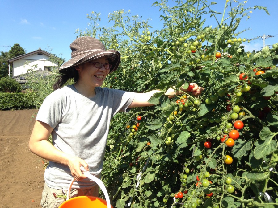 市原市 杉山ジャム工房 杉山亜紀